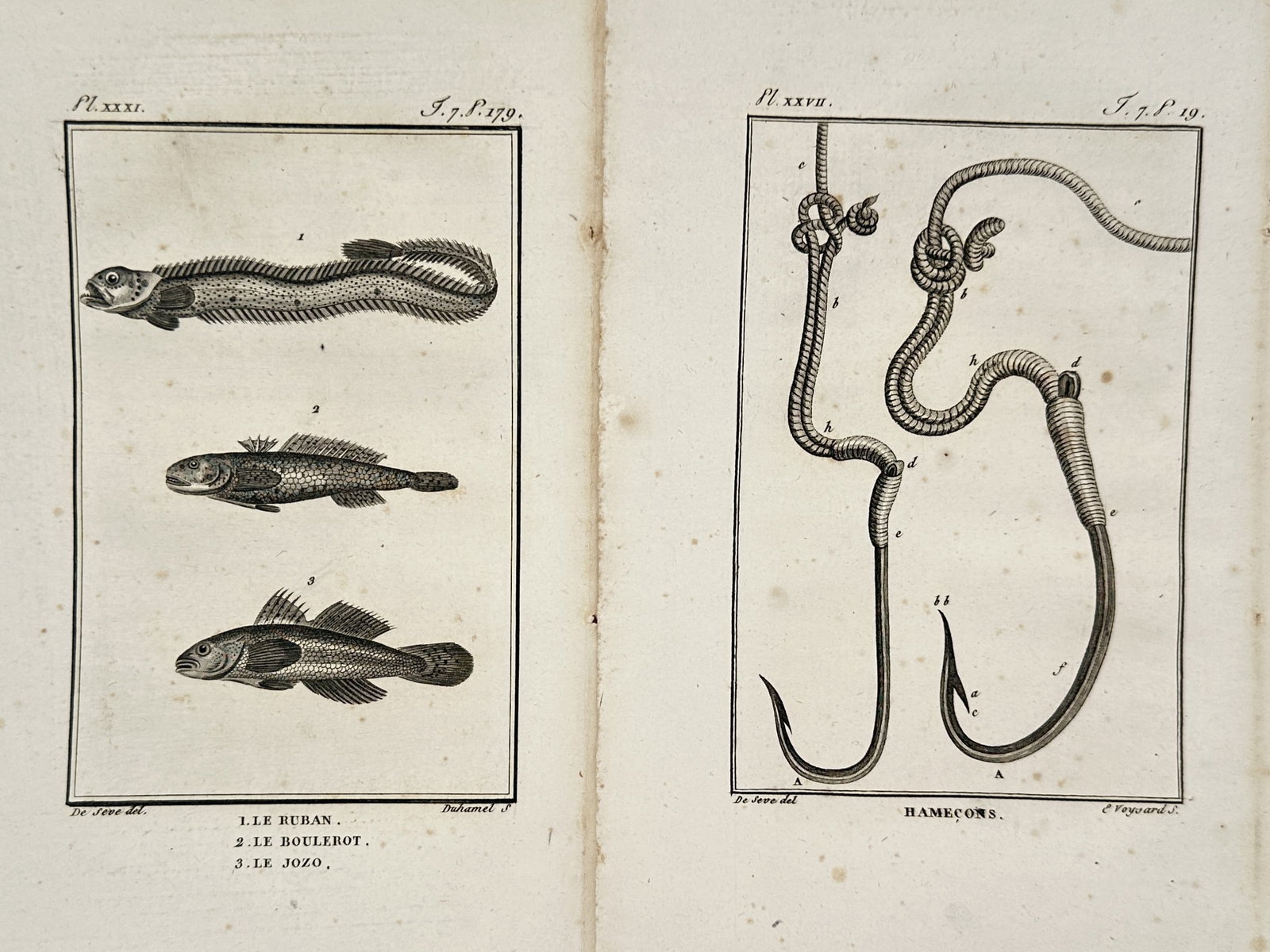 Georges-Louis Leclerc, Comte de Buffon – Set of 2: Ichthyology and Fishing Tackle – Engravings (1 of 2)