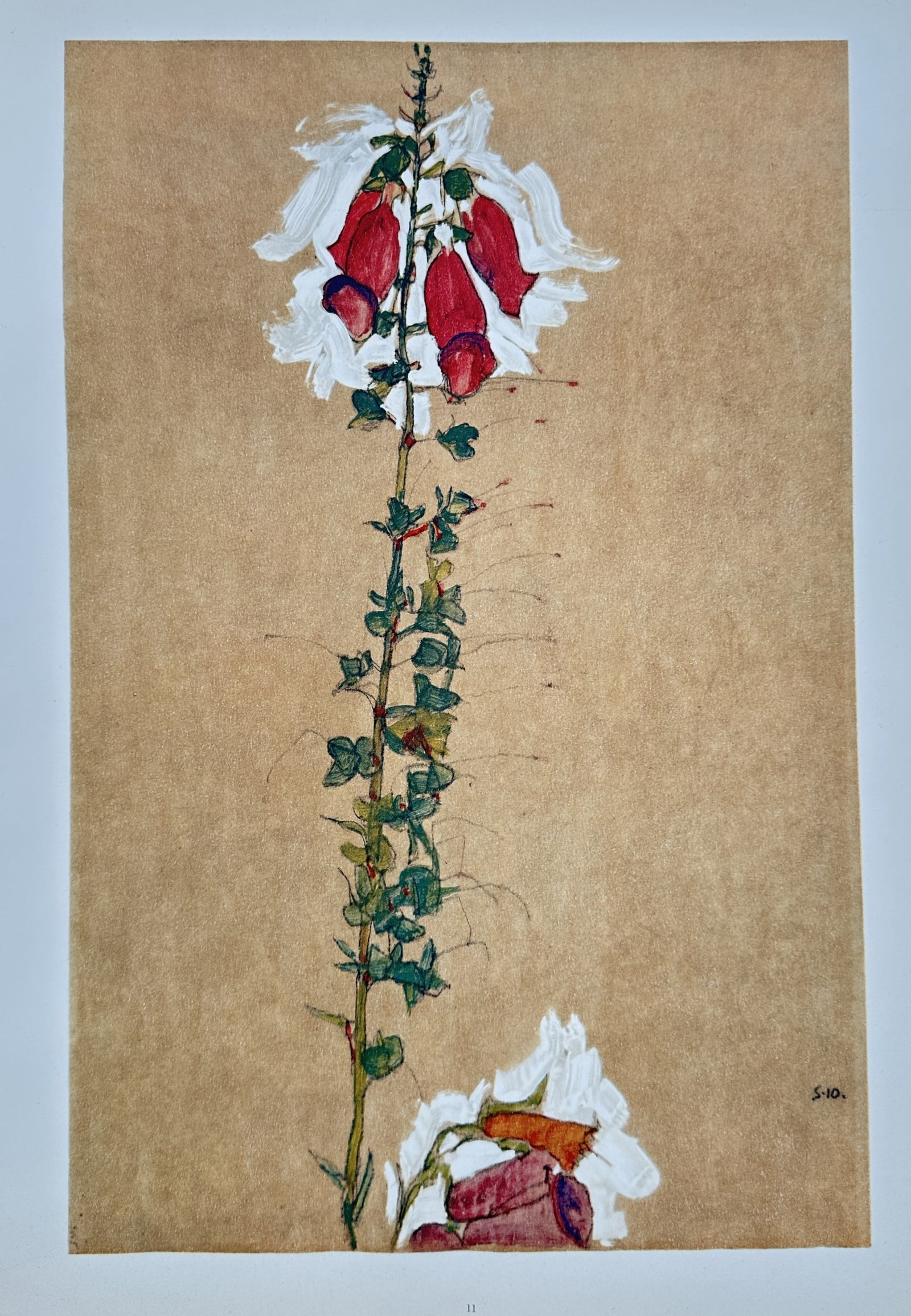 Egon Schiele,after – Flowering Plant – Offset lithograph (20th Century): "Flowering Plant" depicts a stylized botanical study of a tall flowering stalk with vibrant red blossoms and delicate green foliage against a warm tan background. This offset lithograph reproduces an 