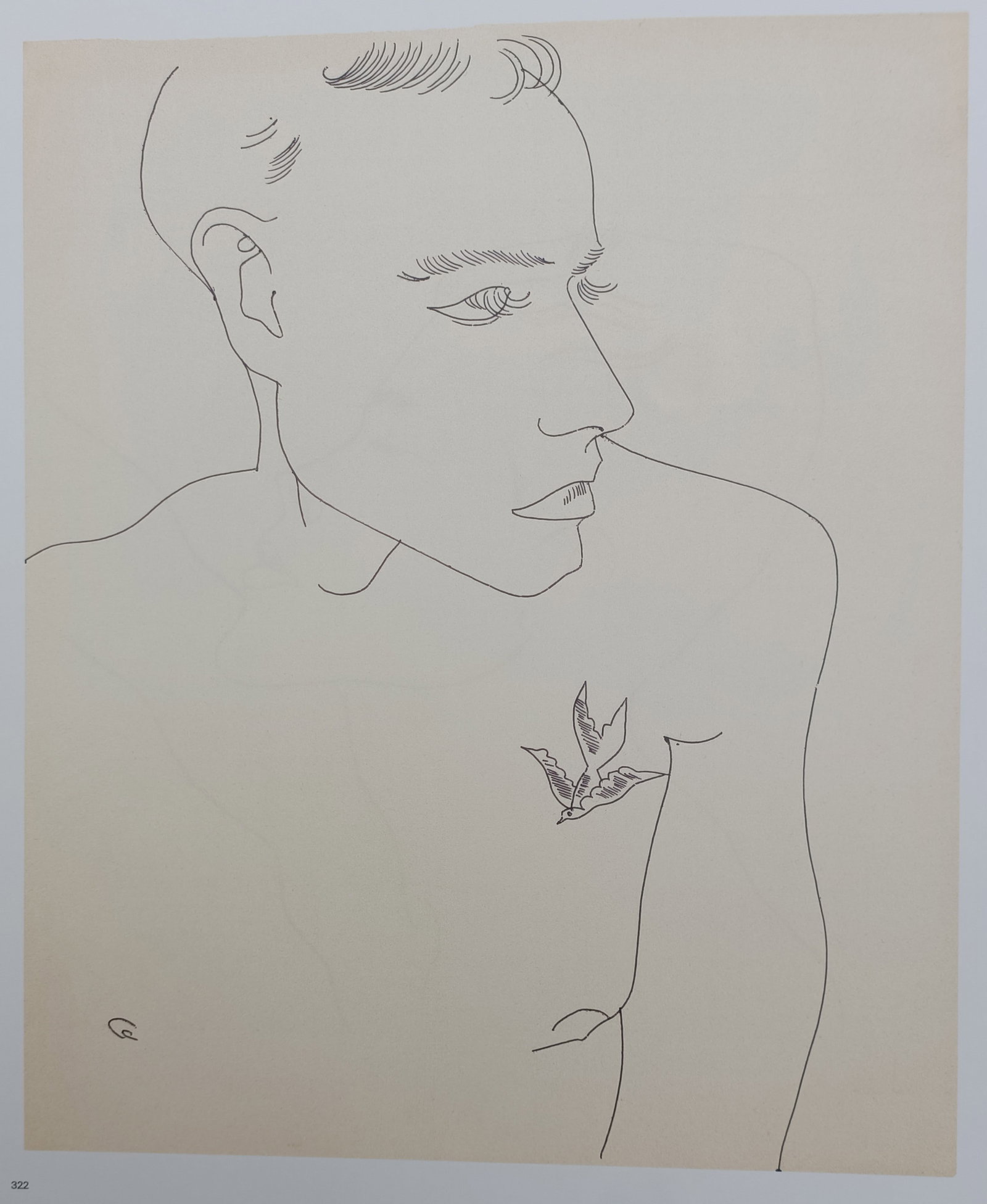 Andy Warhol,after – Male Bust with Bird Motif – Offset lithographic reproduction (2006): "Male Bust with Bird Motif" presents an elegant portrait study rendered in delicate contours depicting a young man featuring a small bird design. This print was published by Phaidon in 2006 as part of