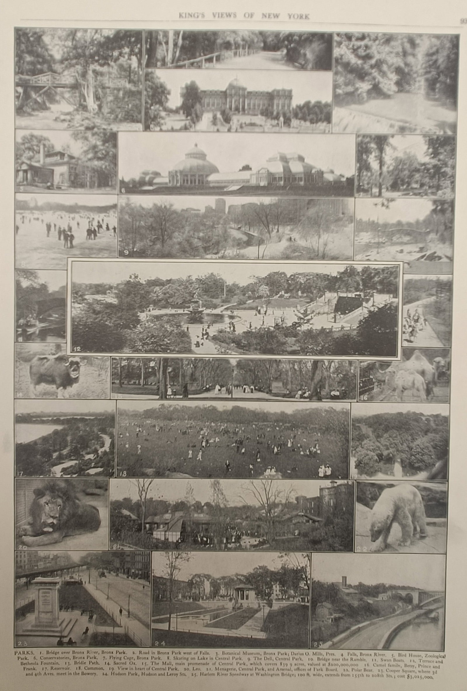 Moses King – Views of New York City Parks and Zoological Gardens – Photomechanical Print (1908) (1 of 2)