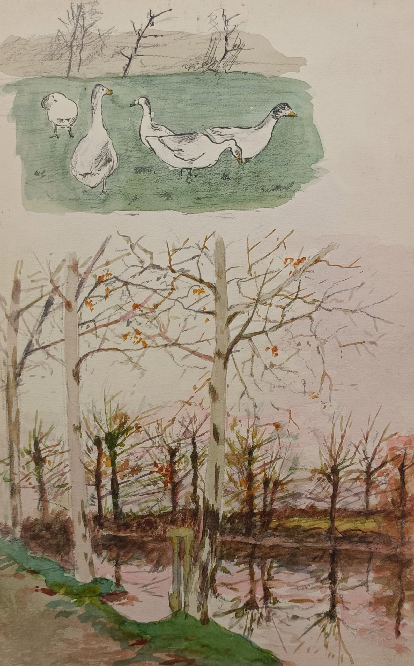 Louis Adolphe Hervier – Geese in a Meadow and River Landscape – Lithograph (19th Century) (1 of 2)
