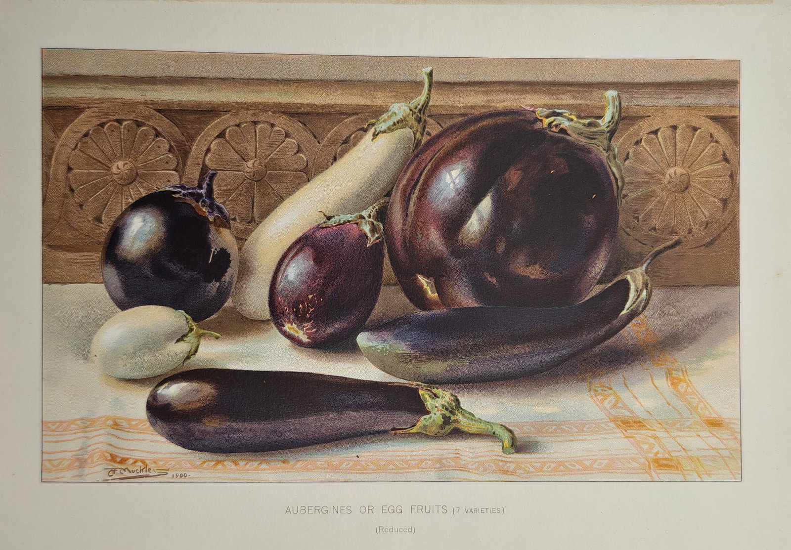 Louis Fairfax Muckley – Botanical Still Life of Aubergines and Eggplants – Lithograph (1906): "Aubergines or Egg Fruits" presents a botanical still life study illustrating diverse cultivated eggplant varieties in varying shapes and shades of deep purple, violet, and white arranged on a pattern