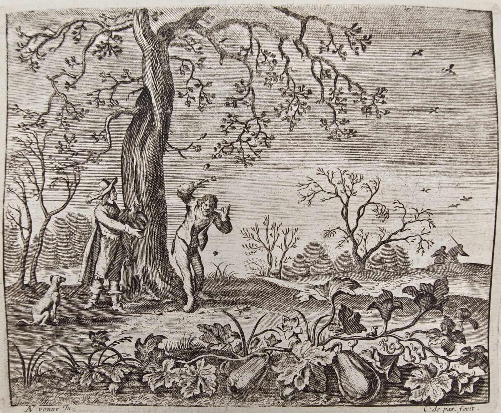 Jacob Cats – Emblem of the Oak and the Gourd – Engraving (17th Century) (1 of 3)
