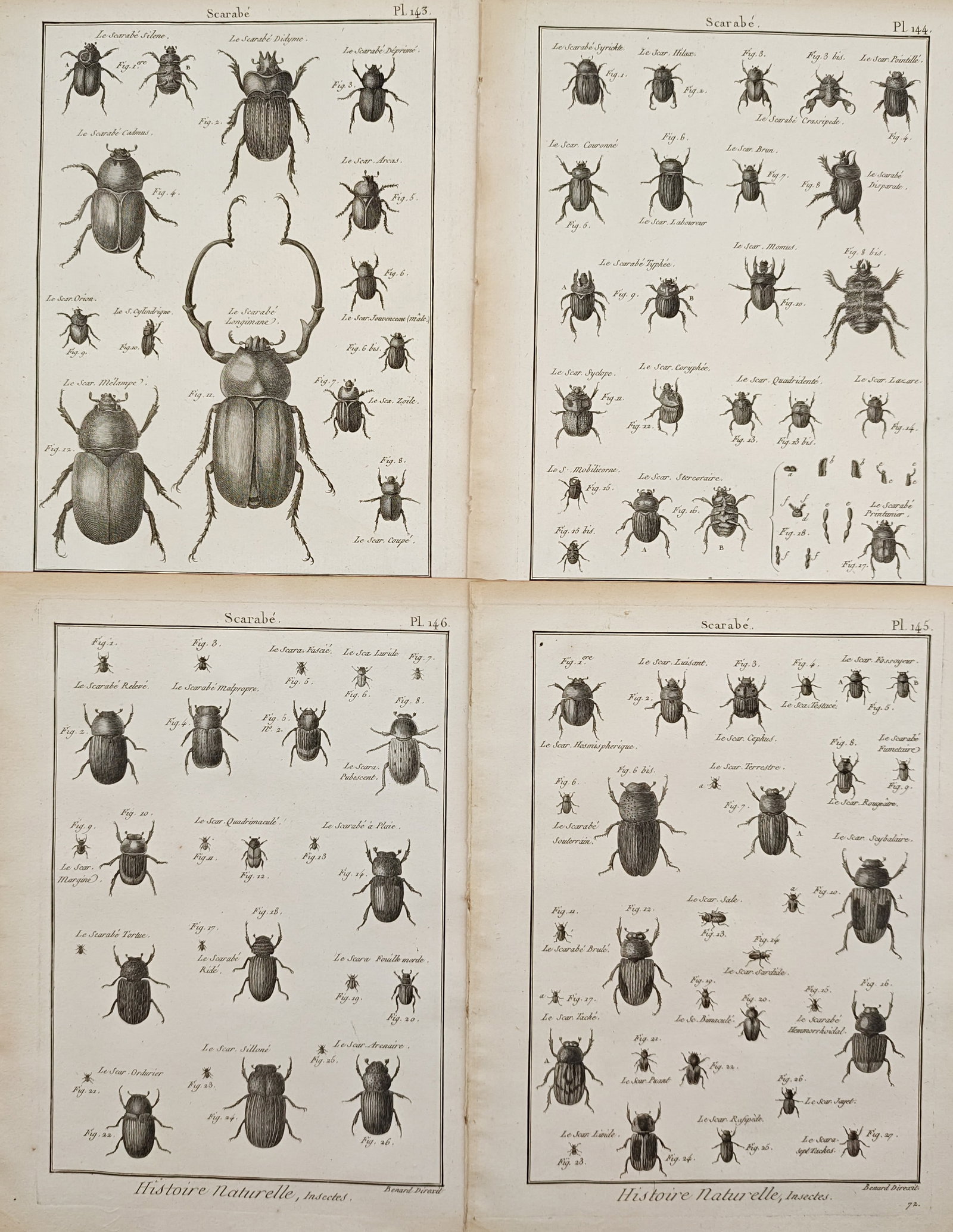 Robert Bénard – Set of 4: Scarab Beetles, Rhinoceros Beetles, and Entomology Studies –: "Scarab Beetles, Rhinoceros Beetles, and Entomology Studies" presents an eighteenth-century entomological survey depicting a wide variety of horned scarabs, dung beetles, and coleopteran species detai