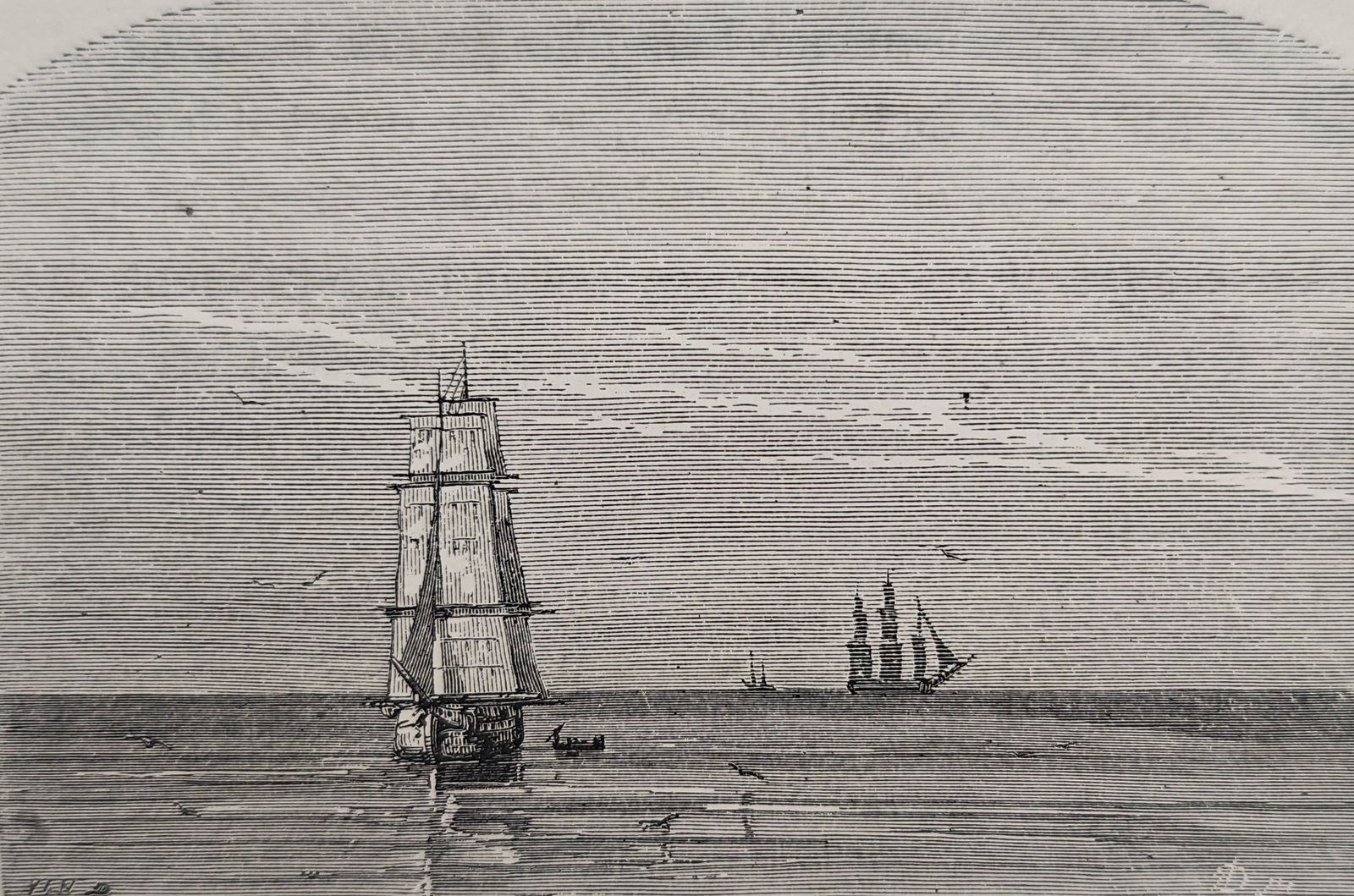 Frédéric Zurcher and Élie Margollé – Calm Sea – Engraving (19th Century): "Calm Sea" presents a serene maritime landscape depicting sailing vessels resting upon placid waters beneath an expansive sky. This scientific illustration was published as a wood engraving during the