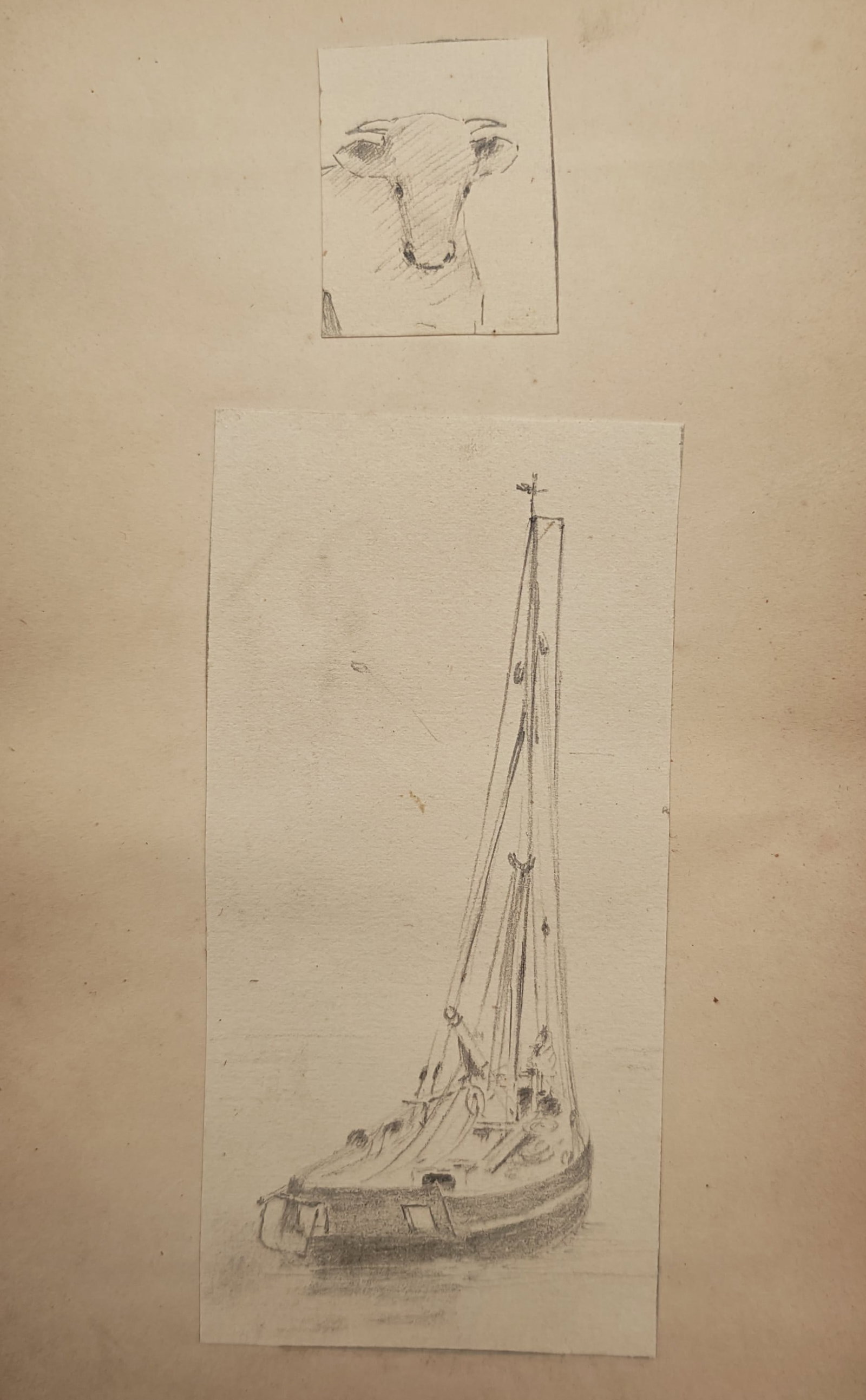 Unknown Artist – Studies of a Sailboat and Bull – Drawing (20th Century): "Studies of a Sailboat and Bull" presents delicate preparatory pencil sketches capturing maritime and animal studies mounted onto backing paper. The compositions feature a slender rigged sailing vesse