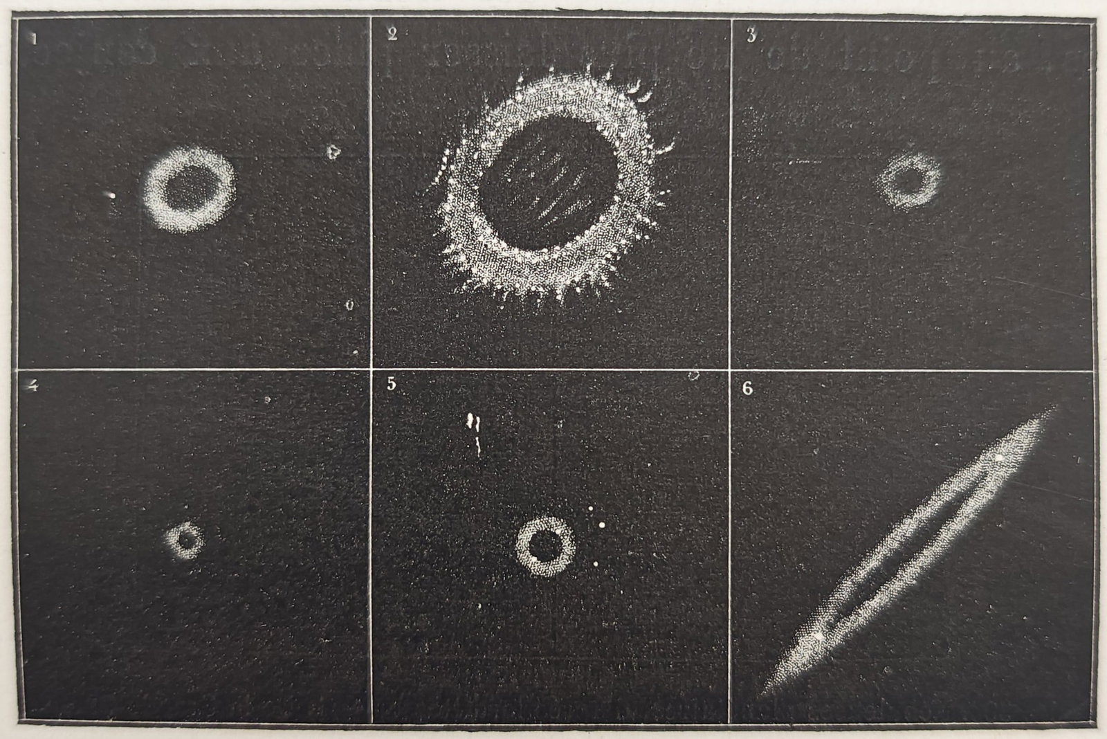 Amédée Guillemin – Annular Nebulae – Wood engraving (19th Century) (1 of 3)