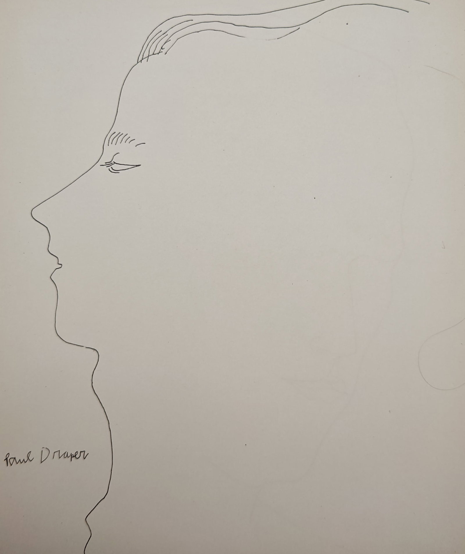 Andy Warhol,after – Paul Draper – Offset lithographic reproduction (2006): "Paul Draper" presents a minimalist profile line drawing outlining the facial features and hair of an individual on a solid cream background. This elegant illustration captures the delicate ink work c