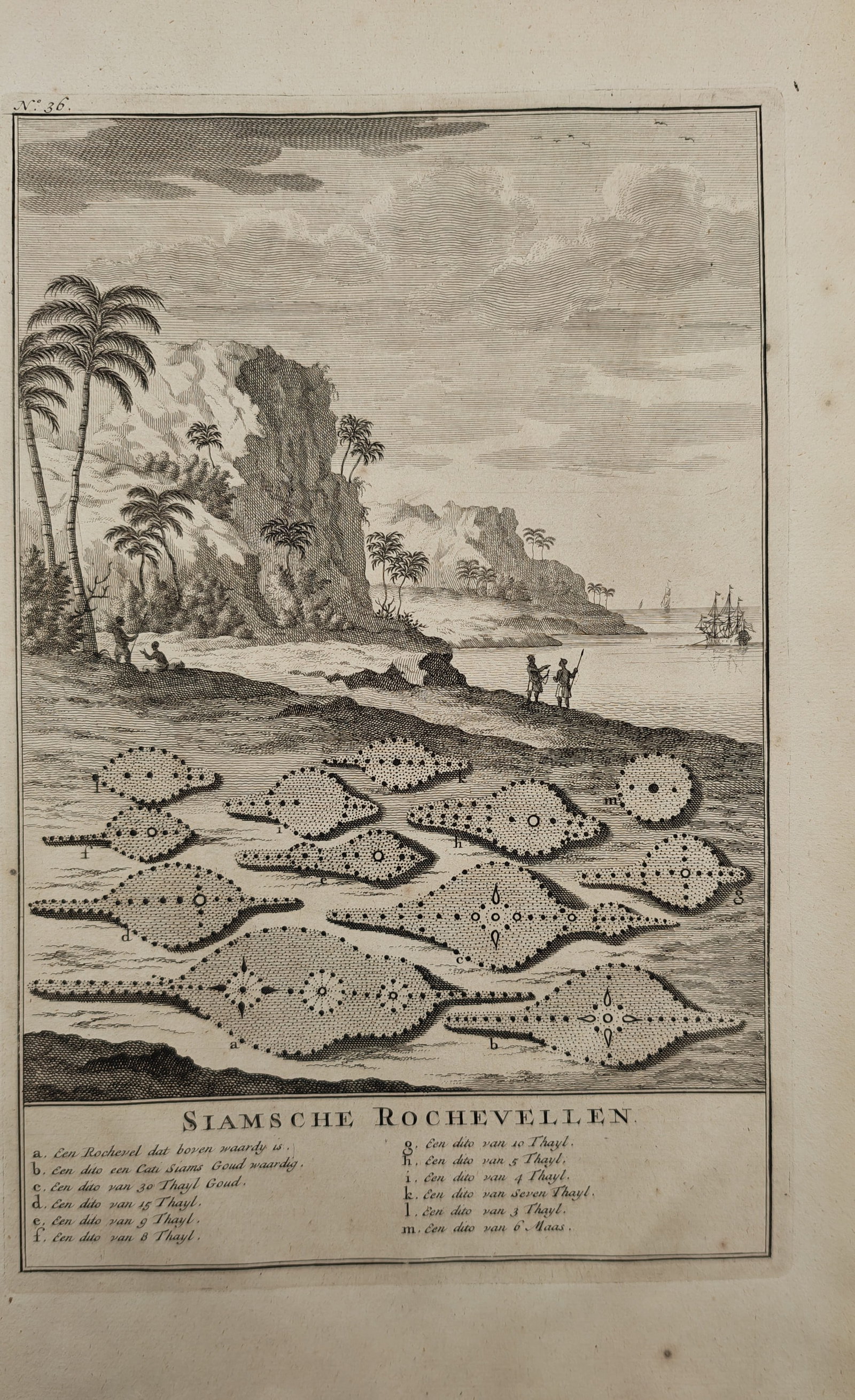 François Valentijn – Ethnographic and Natural History Study of Siamese Ray Skins – Engraving: "Siamese Ray Skins" illustrates patterned stingray skins laid out along a tropical shoreline with palm trees, coastal cliffs, figures, and distant ships on the water. Accompanied by a valuation key in