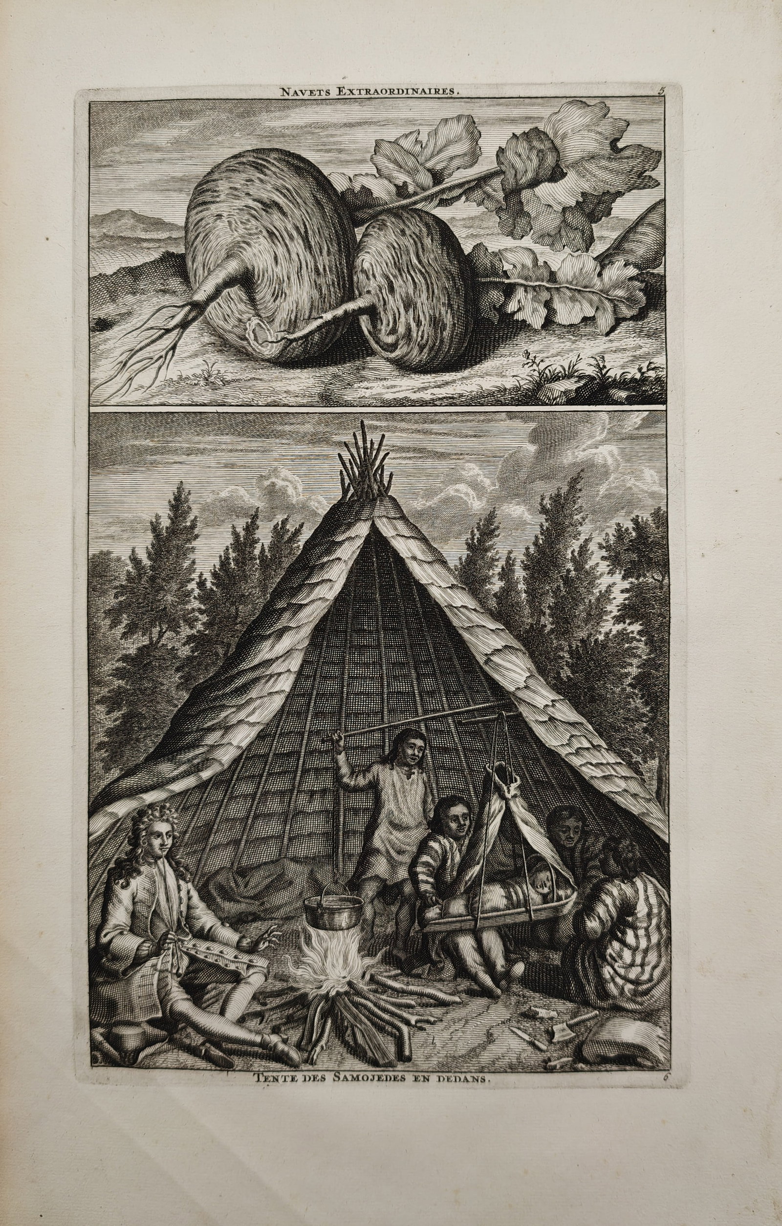 Cornelis de Bruyn – Ethnographic Study of Samoyed Tent Interior and Botanical Turnips – (1 of 2)