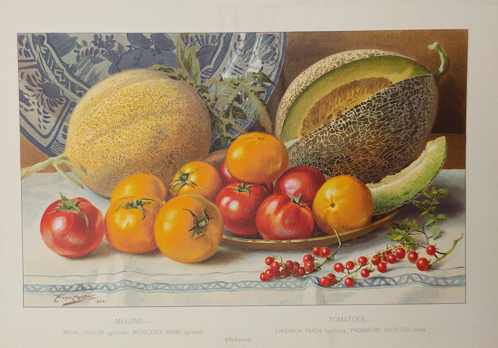 Louis Fairfax Muckley – Still Life Study of Melons and Tomatoes – Lithograph (1906) (1 of 2)