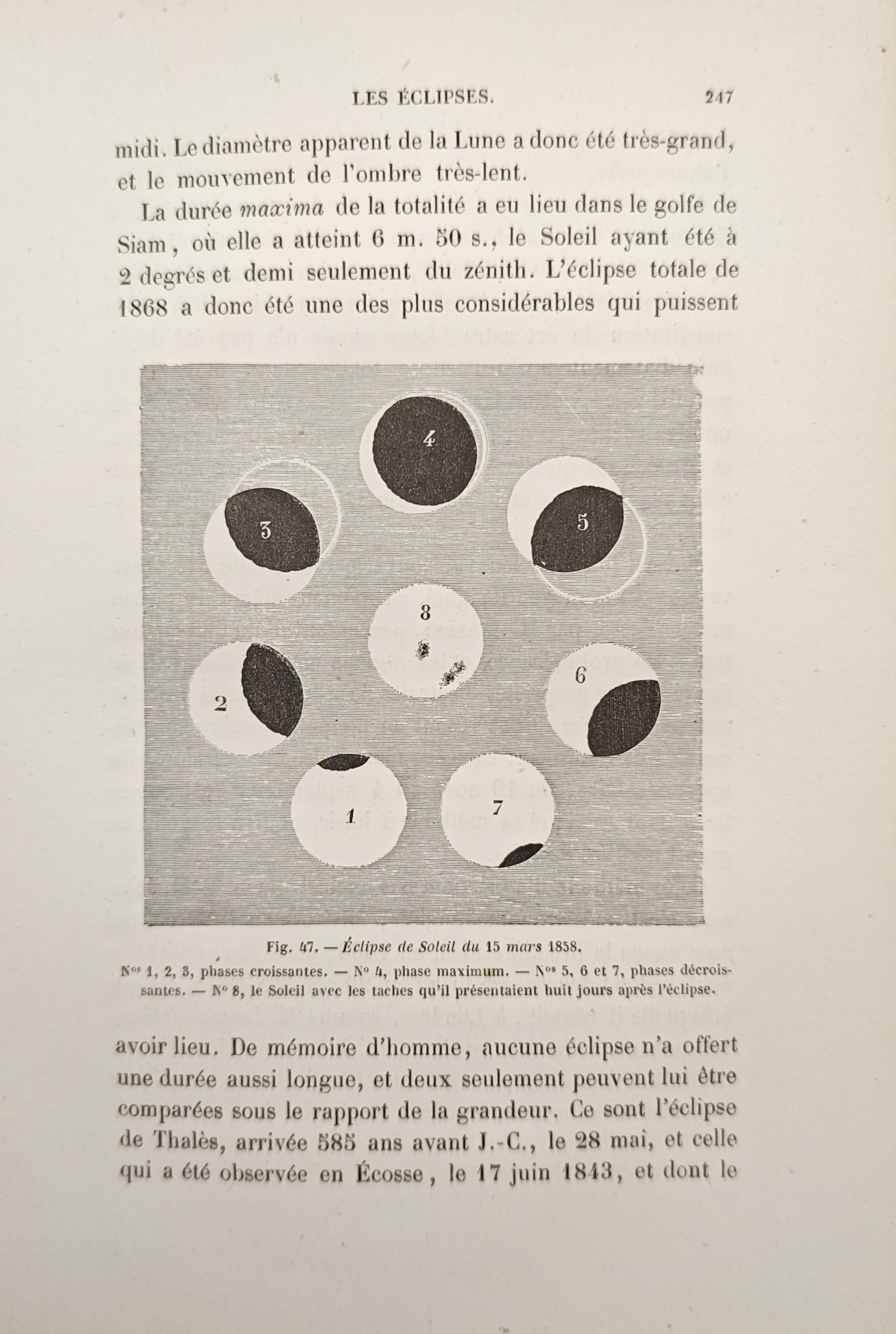 Amédée Guillemin – Solar Eclipse Phases and Sunspots Study – Wood engraving (19th Century): "The Eclipses" presents an astronomical diagram illustrating the progressive phases of a solar eclipse alongside central solar disk sunspot observations. Published in the nineteenth century, the work 