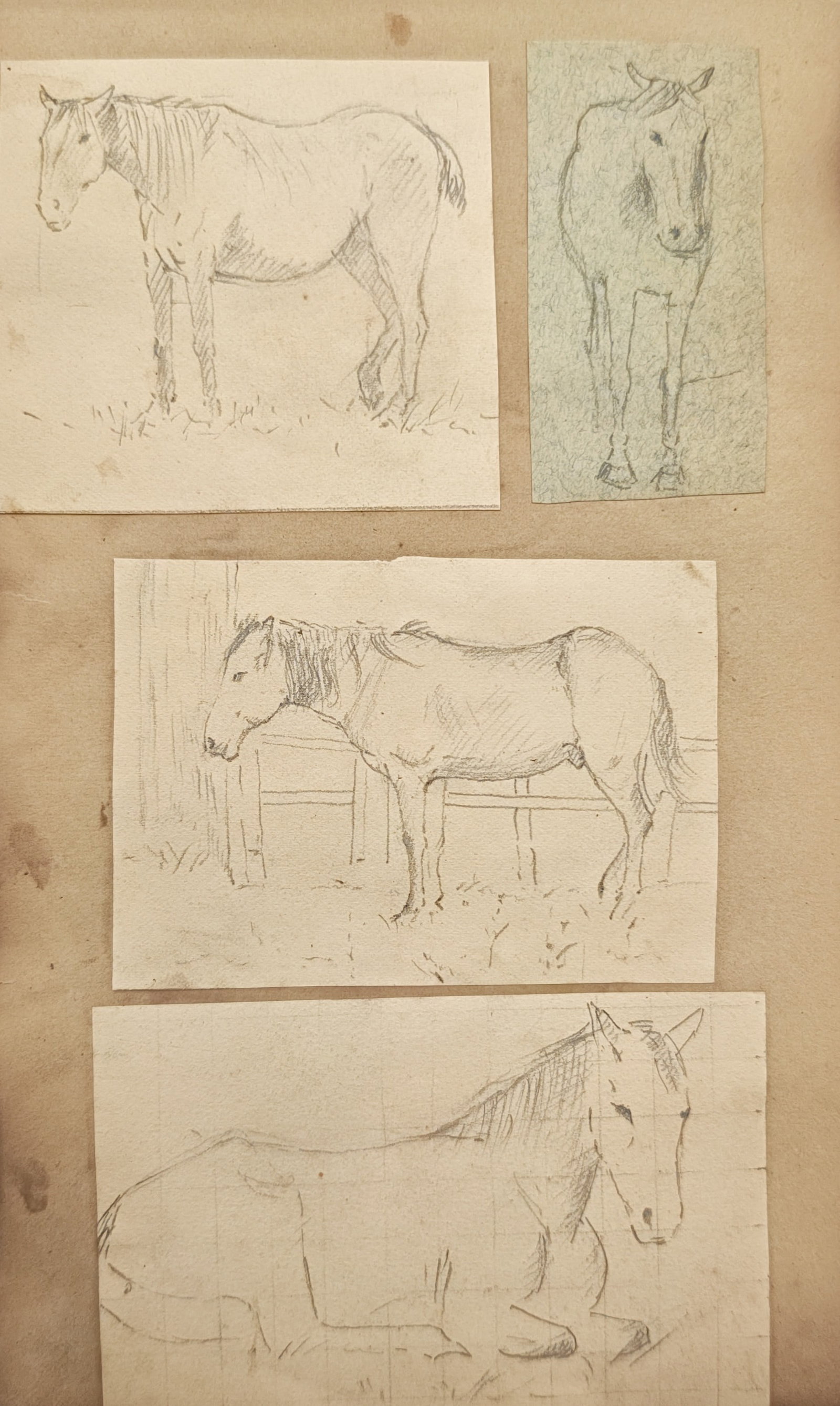 Jan Mankes – Studies of Horses and Foals – Drawing (20th Century): "Studies of Horses and Foals" presents a sensitive collection of naturalistic equine sketches rendered in delicate graphite lines mounted on an aged paper support, depicting standing, frontal, and res