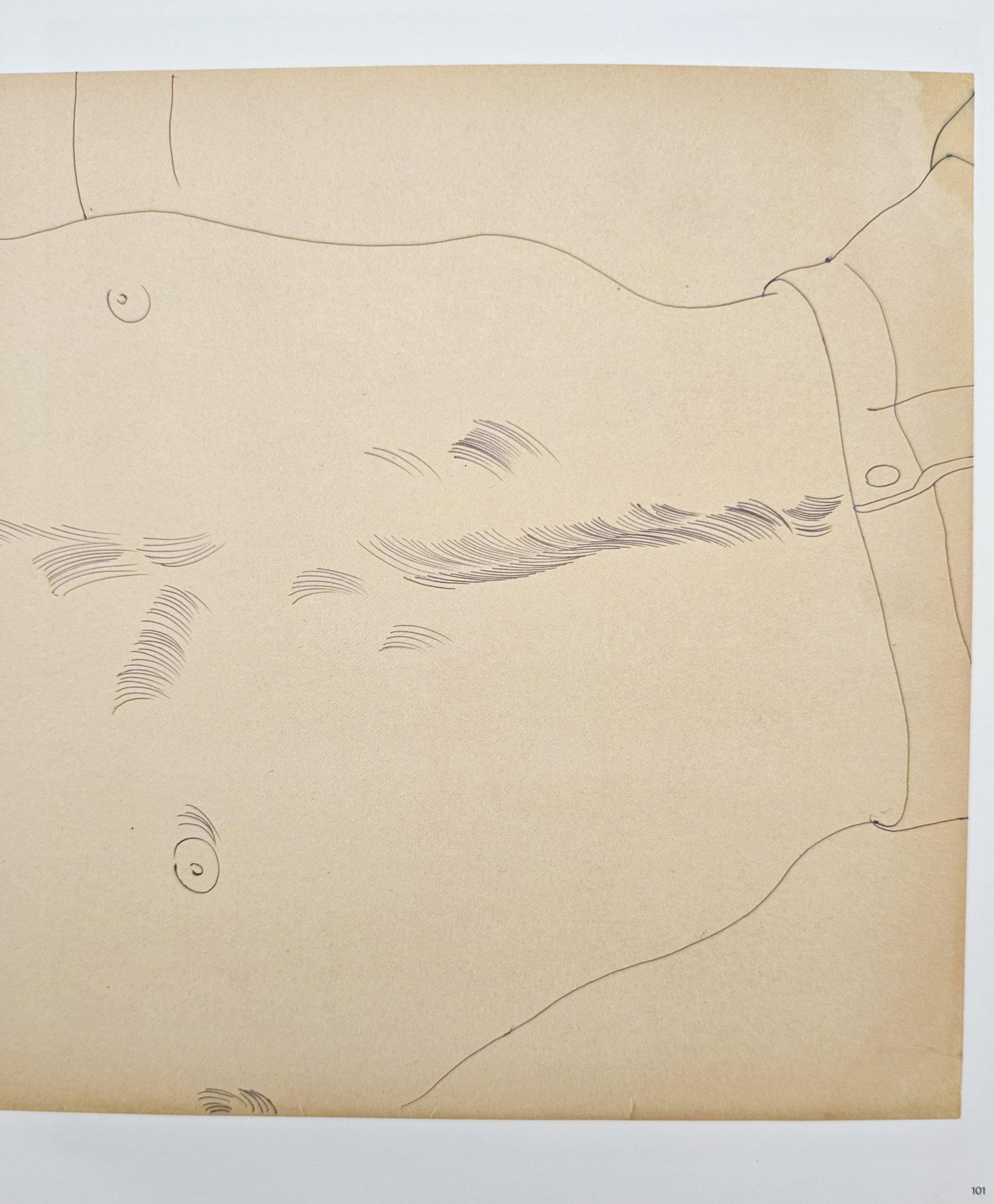 Andy Warhol,after – Male Torso Study – Offset ithographic reproduction (2006): "Male Torso" illustrates a modernist figurative line drawing capturing the cropped contours, body hair, and waistband of a male figure in a minimalist linear style. Published in 2006 by Phaidon in Gia