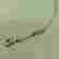 item-134410390=3