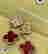 item-136372831=3