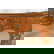 item-205763801=9