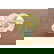item-209119386=2