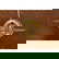 item-209131418=7