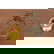 item-209131421=10