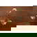 item-209142836=3