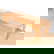 item-211031071=11