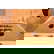item-211031154=11