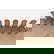 item-211031190=5