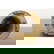 item-211031407=10