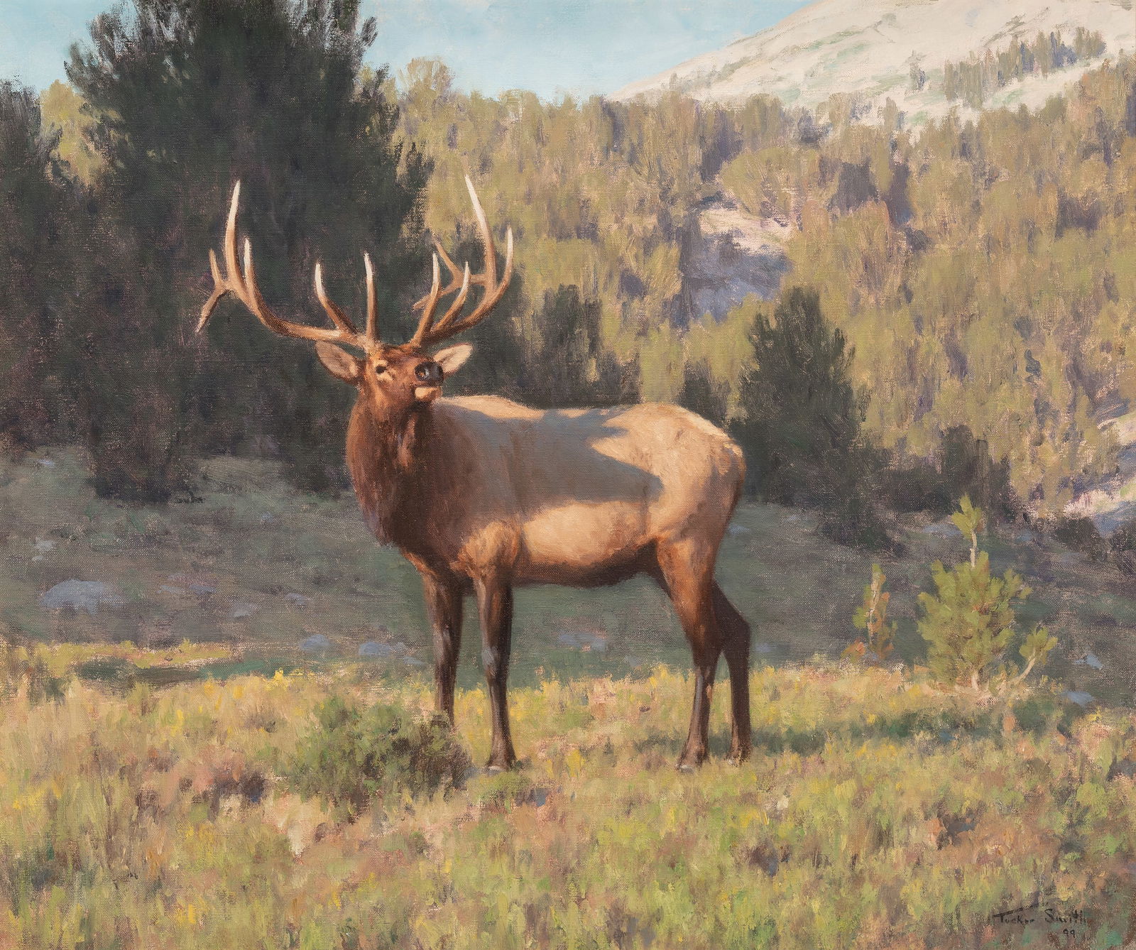 Tucker Smith (b. 1940) Bugling in the Meadow, 1999: Tucker Smith (b. 1940) Bugling in the Meadow, 1999 oil on canvas 20 x 24 inches 24 x 28 inches (frame) signed lower right: Tucker Smith 99 verso: label, Trailside Galleries, Scottsdale, Arizona and Ja