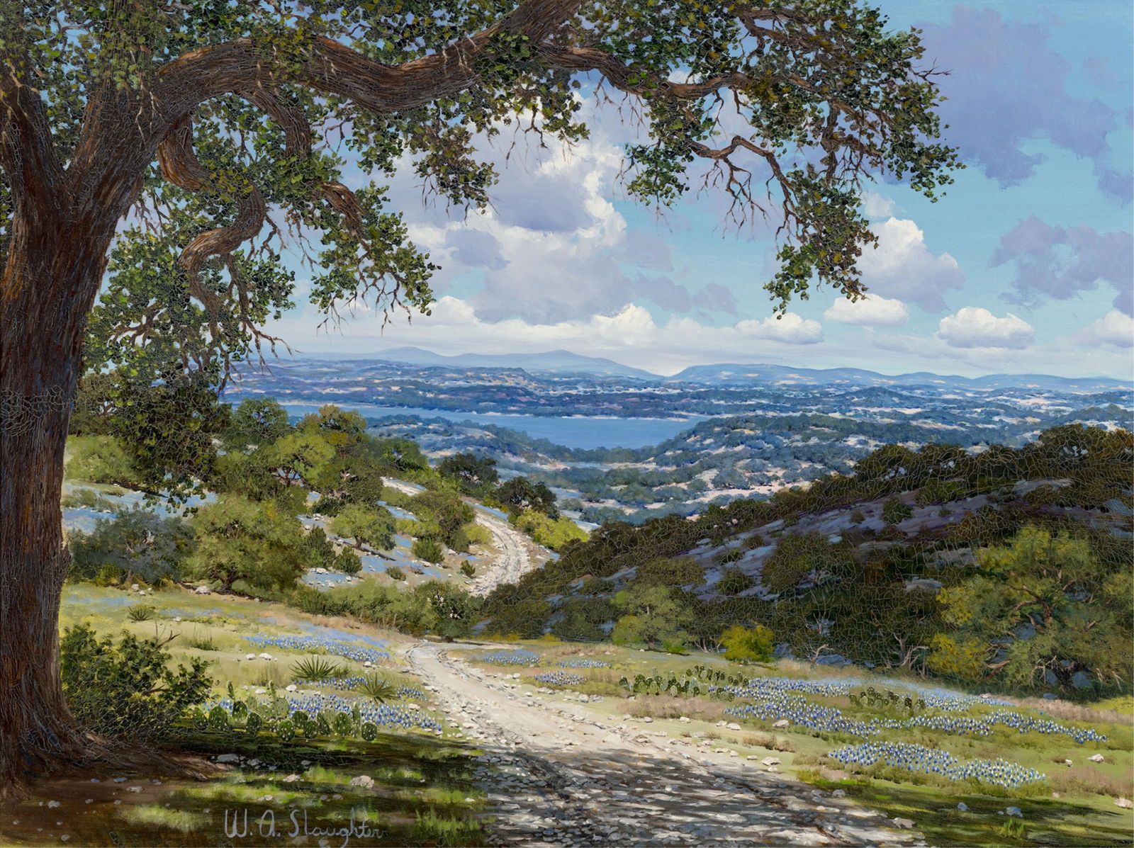 William Slaughter (1923-2003), Tree-Shadows (Lake Buchanan): William Slaughter(1923-2003)Tree-Shadows (Lake Buchanan)oil on canvassigned lower left: W.A. Slaughter30 x 40 inches; 38 x 47.5 inches (frame) Provenance: Private Collection, Dallas, Texas