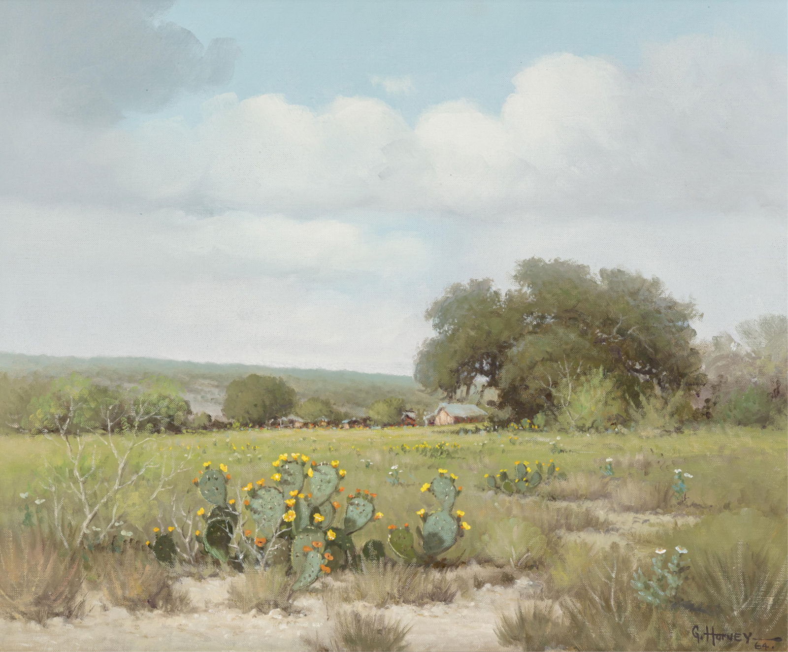 G. Harvey (1933-2017), Prickly Pear, 1964 (1 of 5)