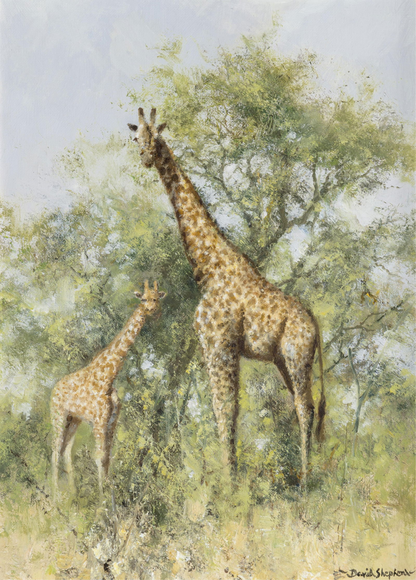David Shepherd (1931-2017), Giraffe (1 of 6)