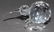 Swarovski Crystal - Kiwi Bird, 2.5" long x 1.5" high,