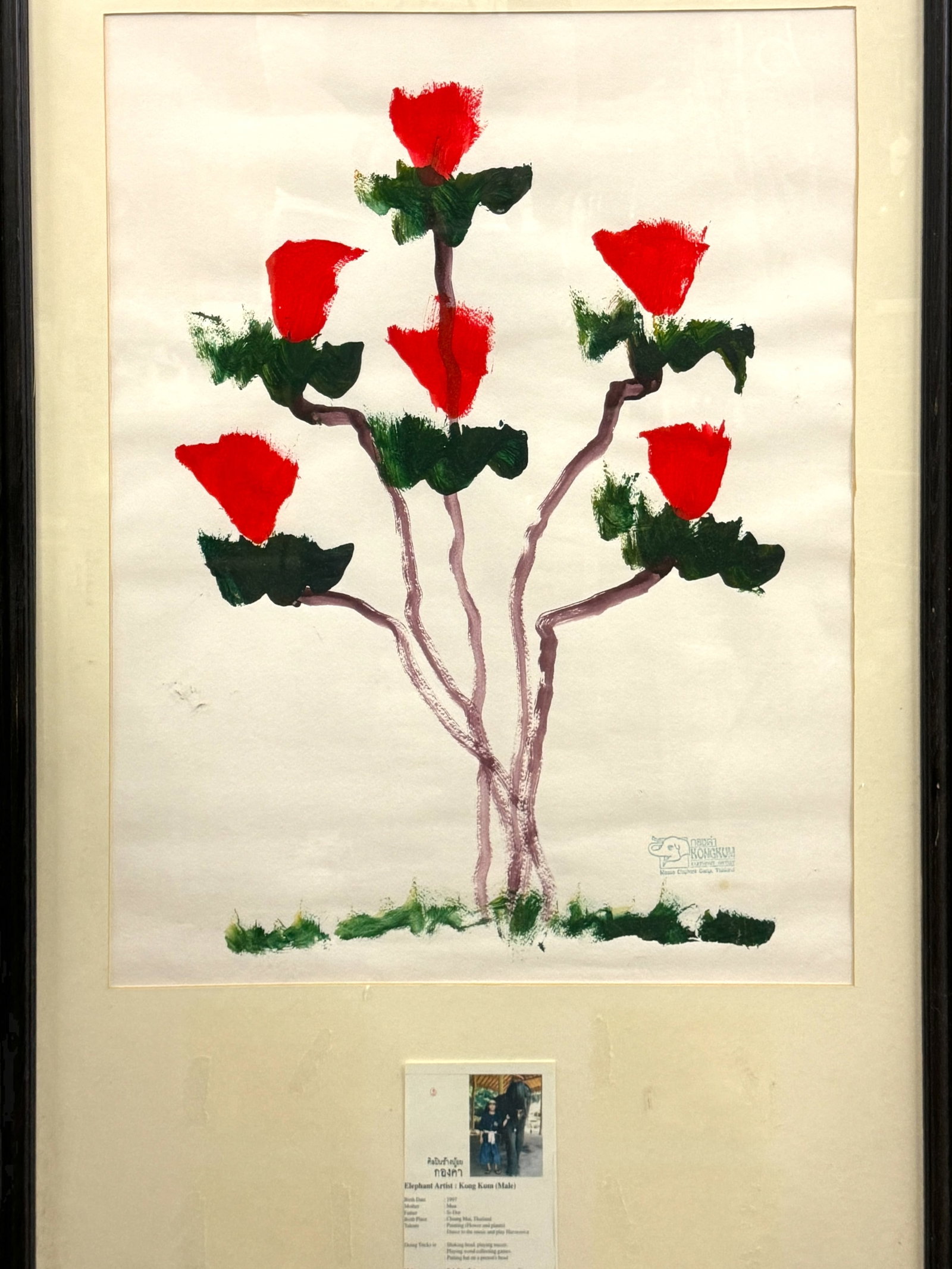 UNIQUE Framed Original Painting BY AN ELEPHANT: An amazing feat by Thailand elephant named Kong Kum. This genius mammal painted a spray of florals on paper. Glass framed and matted with information. Artwork is approximately 24.5 x 20 inches. It Mea