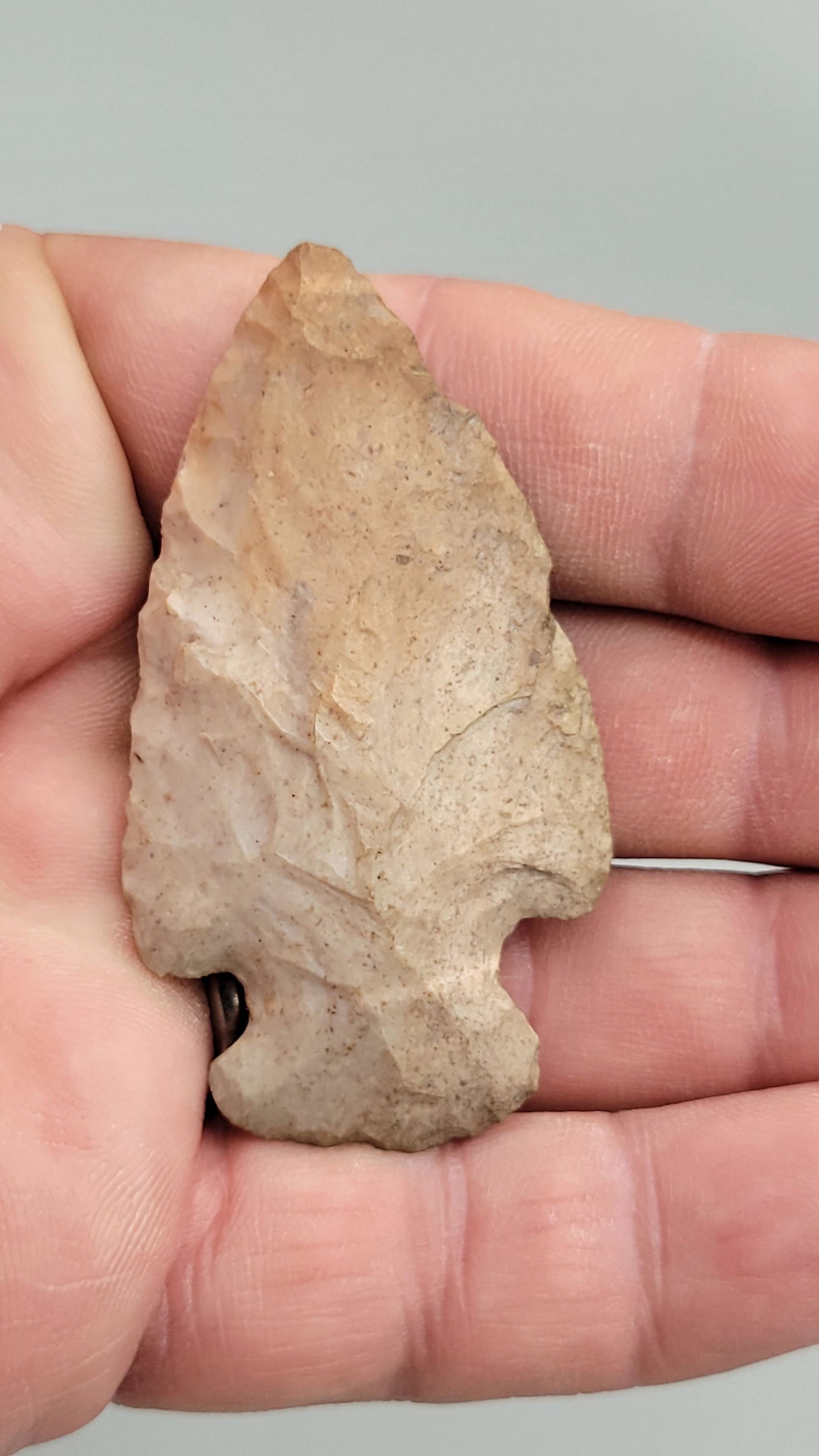 2 5/8" Hopewell Big Rock IL Kane County X Dwane Williams: 2 5/8" Hopewell Big Rock IL Kane County X Dwane Williams