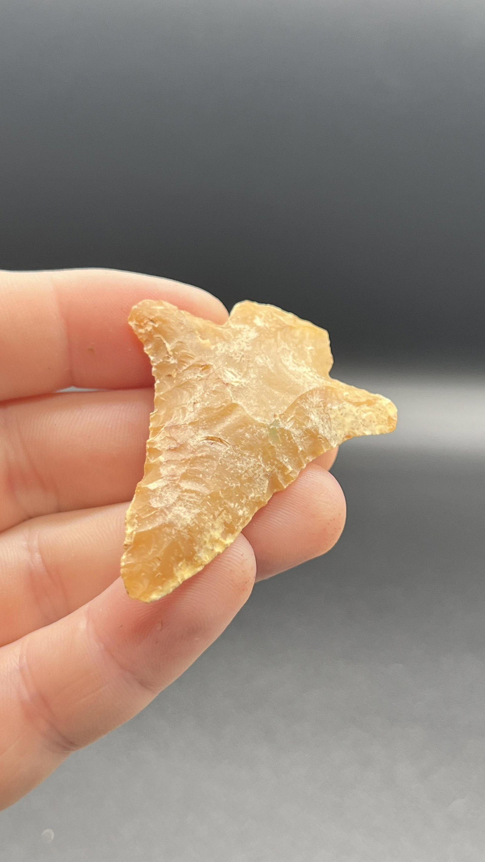 2 1/4" Abbey made of Coral Pinellas County Florida highly translucent: 2 1/4" Abbey made of Coral Pinellas County Florida