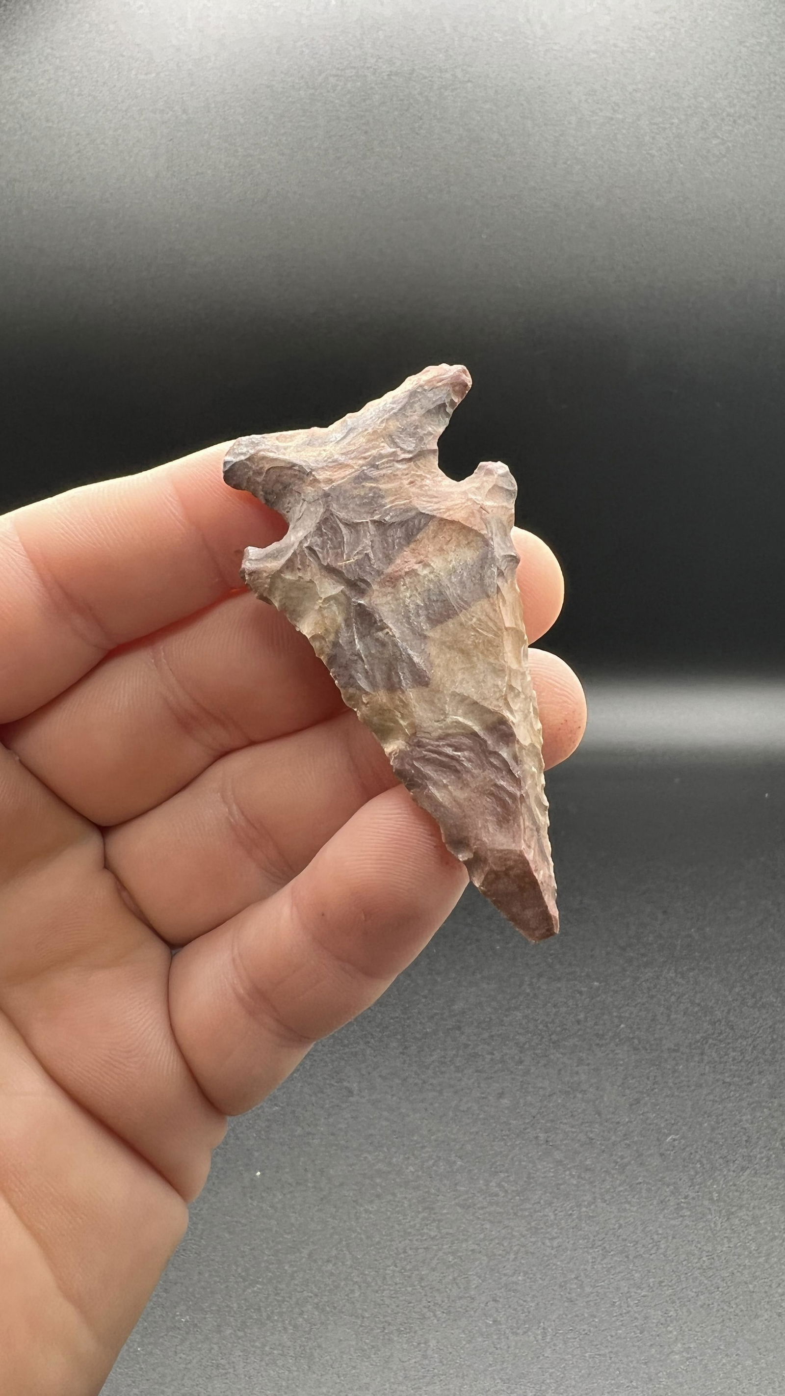 2 1/2" Lost Lake Full of Color Spencer County found by the Cox Family near Taylorville: 2 1/2" Lost Lake Full of Color Spencer County found by the Cox Family near Taylorville