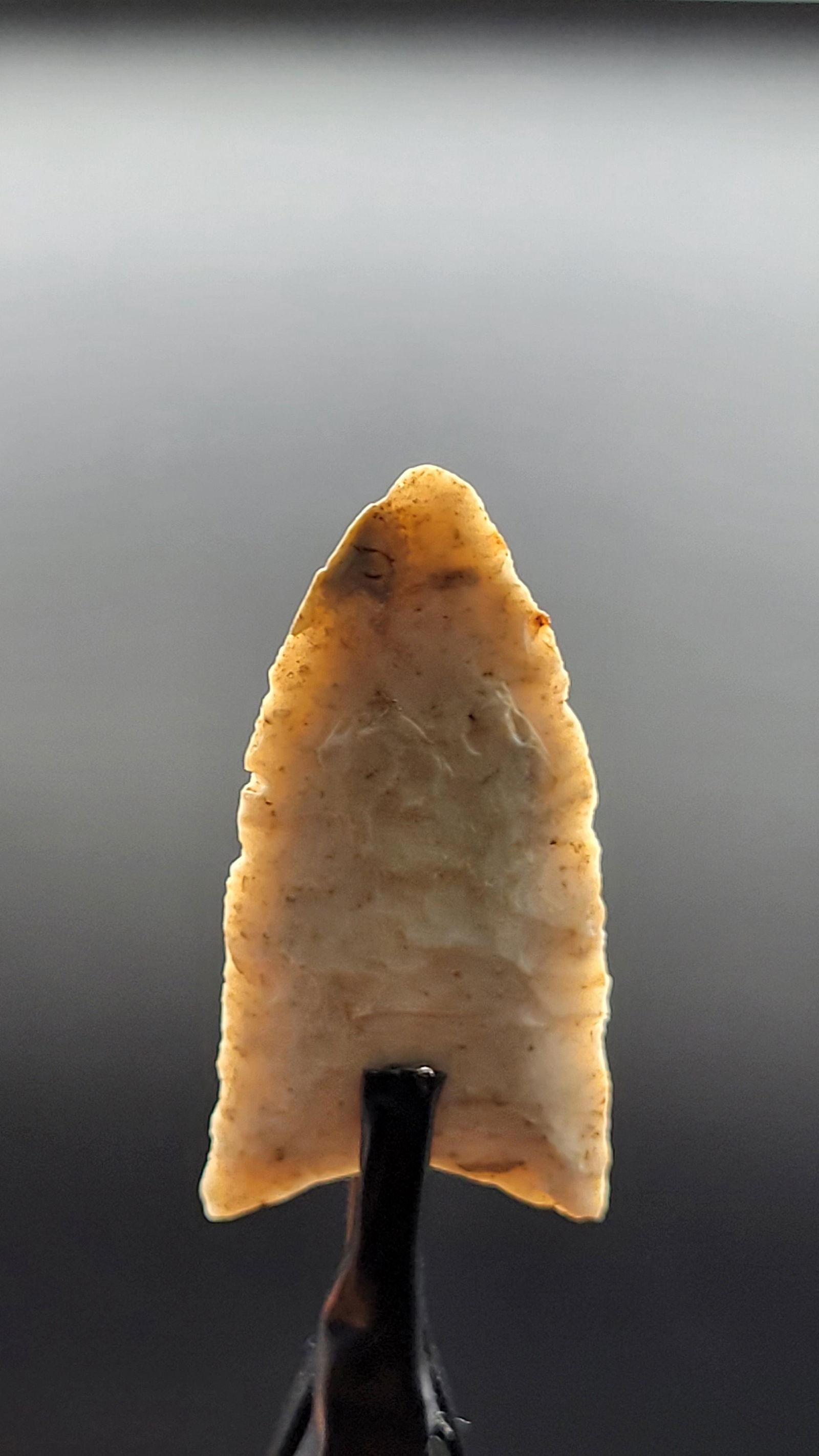 1 3/4" Fluted Clovis Des Moines Iowa Ex Walt McIntyre Oct 16, 2022