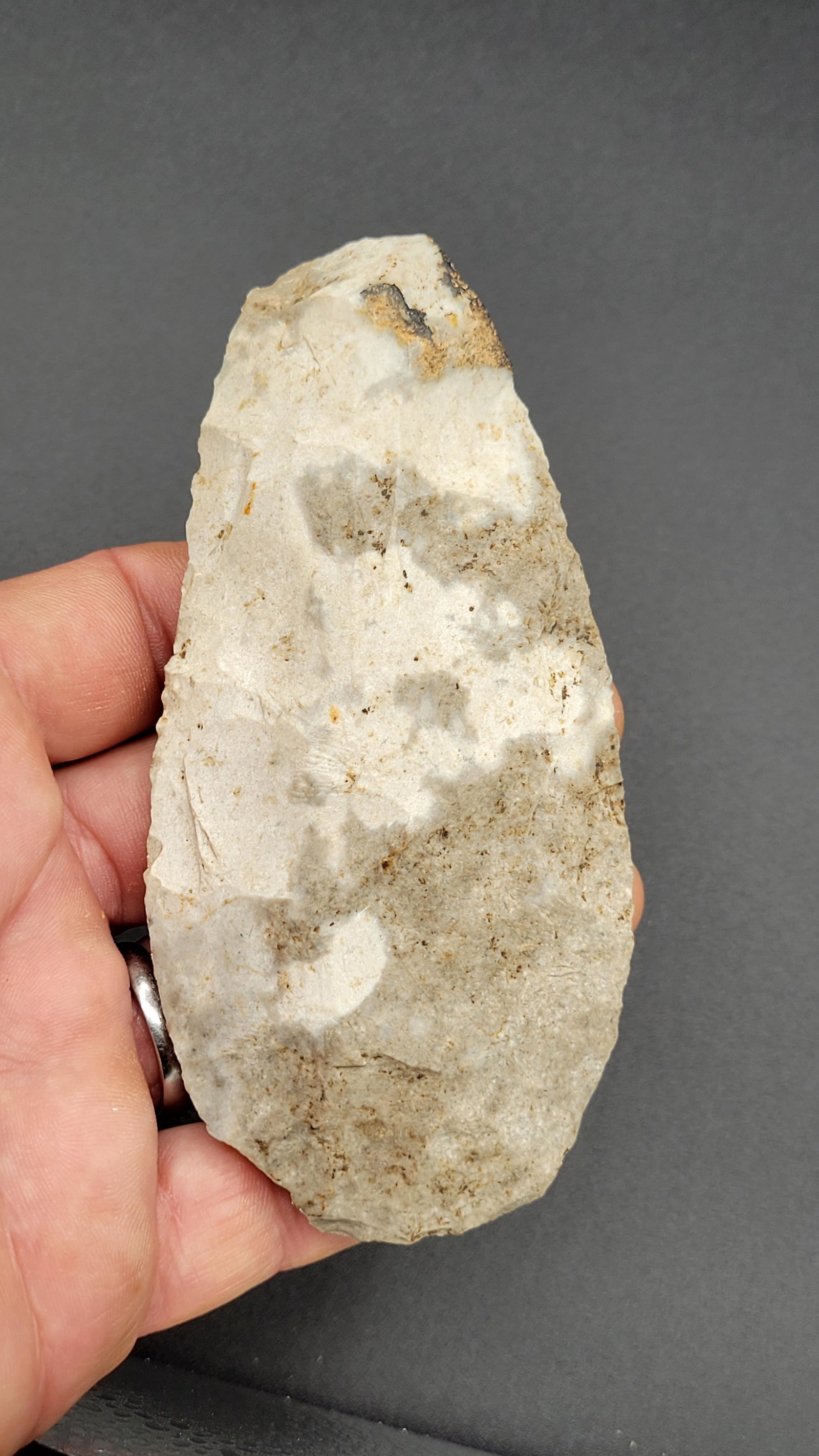 5 1/4" Polished Flint Spade Massac County IL: 5 1/4" Polished Flint Spade Massac County IL