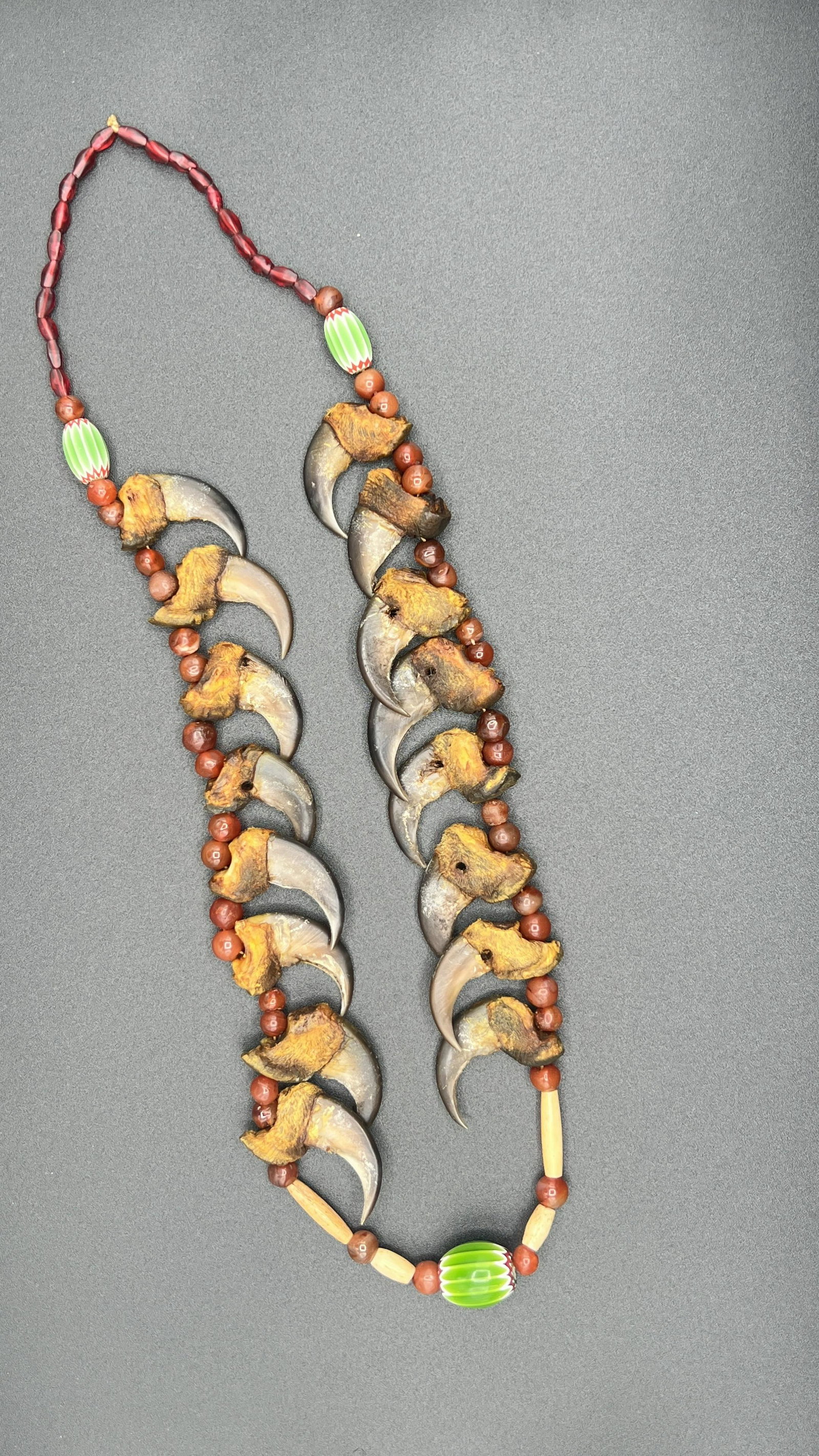 30" Large Bear Claw Necklace Early 1900's-Symbol of Leadership among the Plains Natives- Ex Scott: 30" Large Bear Claw Necklace Early 1900's-Symbol of Leadership among the Plains Natives- Ex Scott Carruthers Collection