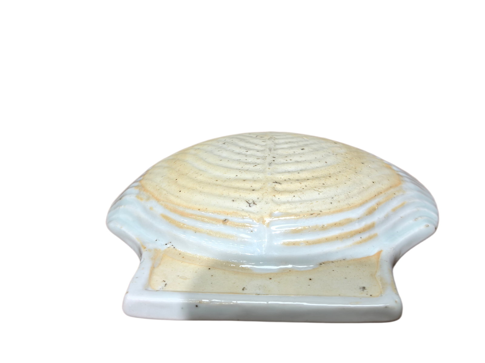 A shell shape vase, Kang Xi Pr. - 5