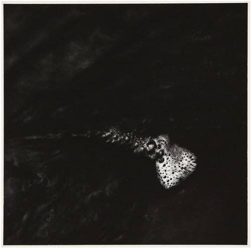 Ralph Eugene Meatyard- Untitled, 1951: Ralph Eugene Meatyard (1925-1972) Untitled, 1951photograph Gelatin silver print, printed c. 1960's. Initialed "R.E.M." and signed by Christopher Meatyard (the artist's son) in ink on the vers