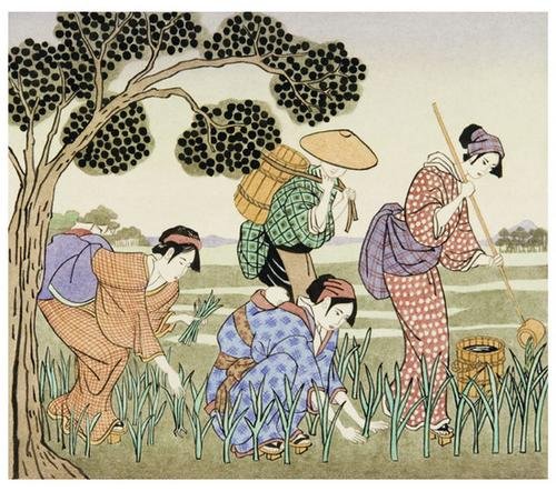 DILLON, Leo and Diane (b. 1933) A time to plant, a