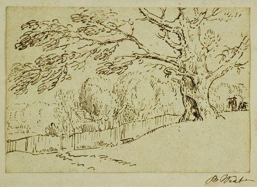 Benjamin West (1738-1820) Study of a tree: Benjamin West (1738-1820) Study of a treePen and ink Signed B. West on mount 5 1/2 x 7 1/2 in (14 x 19 cm) Provenance: with Christopher Powney, London