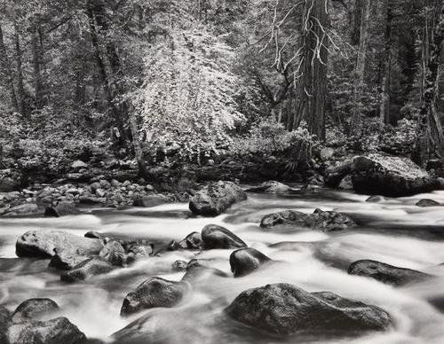 John Sexton (b. 1953) Selected images of the Merce: John Sexton (b. 1953) Selected images of the Merced River, Yosemite, 1974-1983Four gelatin silver prints, printed 1992. Eachsigned and dated in pencil on the mount; creditstamp titled and dat