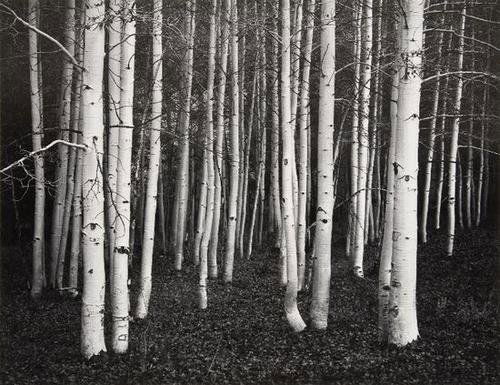 John Sexton (b. 1953) Selected images of landscape: John Sexton (b. 1953) Selected images of landscapes, 1978-1989Three gelatin silver prints, printed 1992. Eachsigned and dated in pencil on the mount; creditstamp titled and dated in pencil on