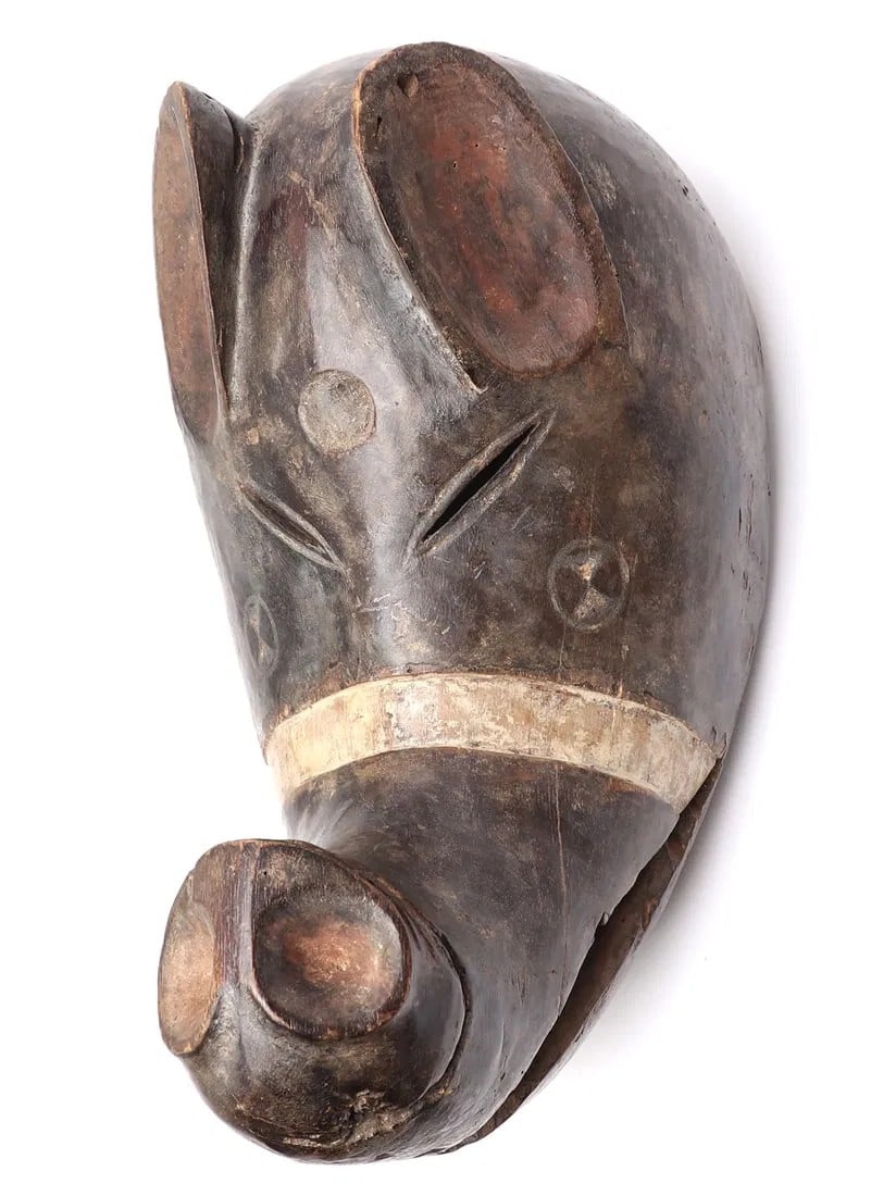African Ritual Pig Dance Mask: Size 15 1/2" L x 8 1/2" W x 10" H African ritual dance mask of a large snouted pig face with a dark patina and pigment to the ears and decoration. Single band of white to the nose and three circular g