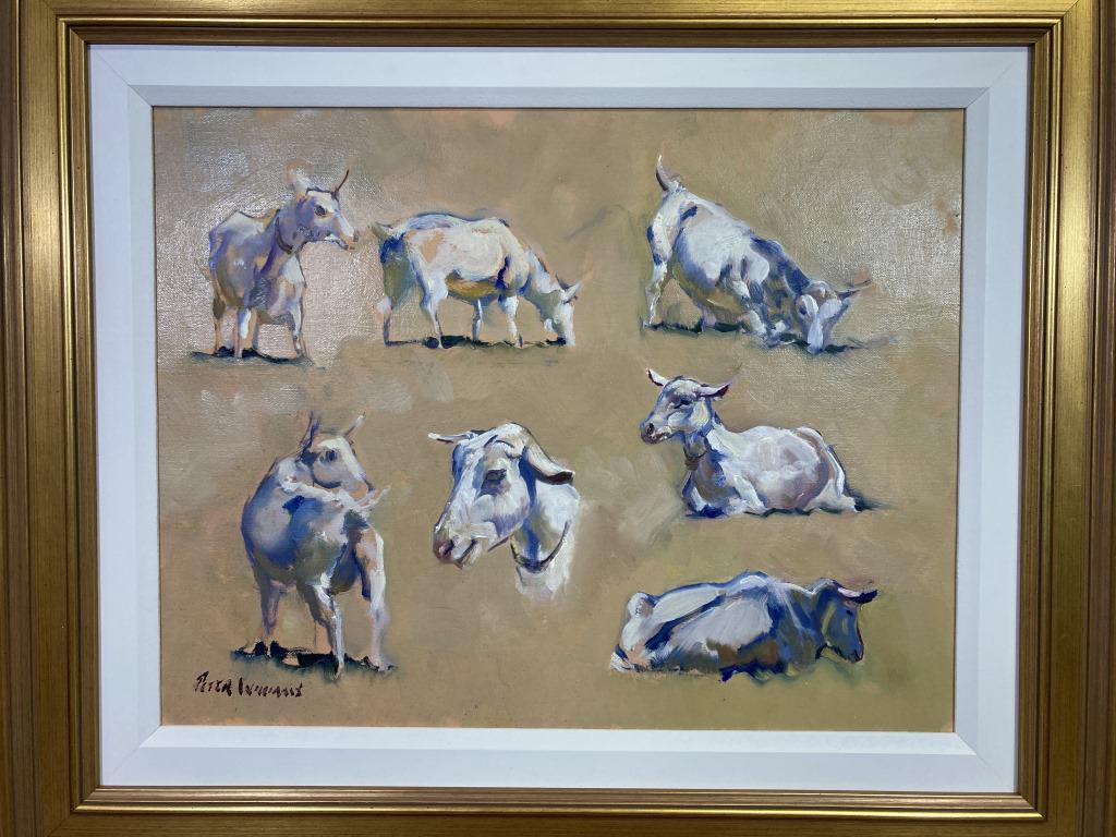 White Goat oil on canvas, site size 14x18, framed: size 20x24 est. $2000
