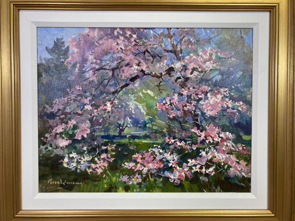 Dogwoods oil on canvas, site size 14x18,: framed size 20 1/4 x 24 1/4 est. $2000
